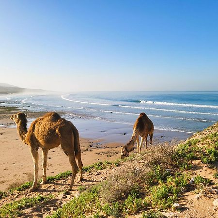 Casa Janoub Morocco Hotell Tamraght Eksteriør bilde
